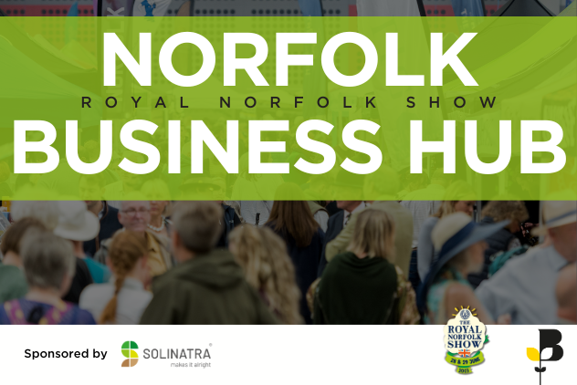 norfolk chamber of commerce business hub