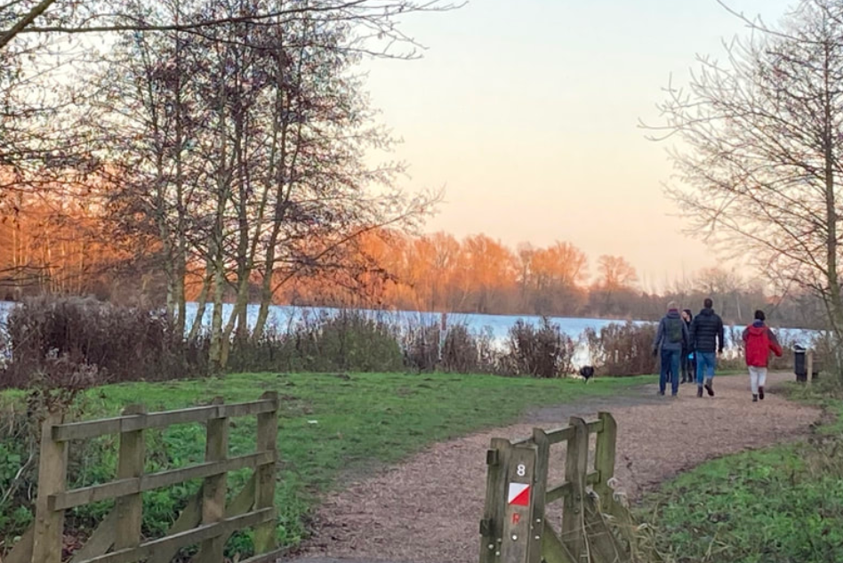 Netwalking